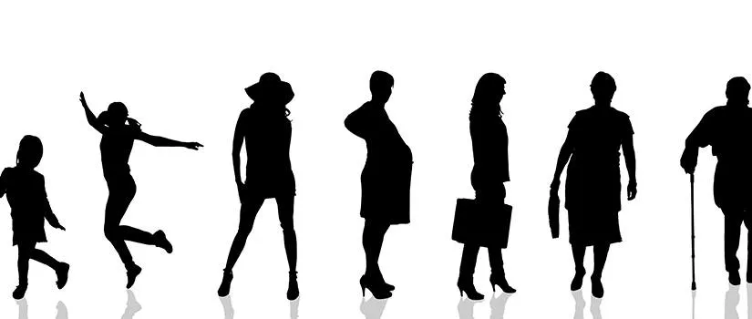 All The Kings Horses…