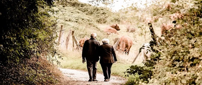 Another Look At Job's Wife