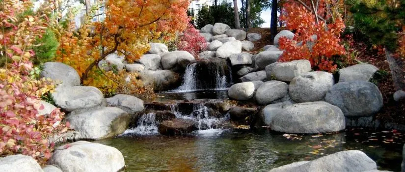 Drinking From The Well Of Sorrow