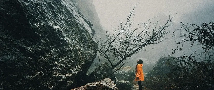 Eyewitnesses Of Majesty