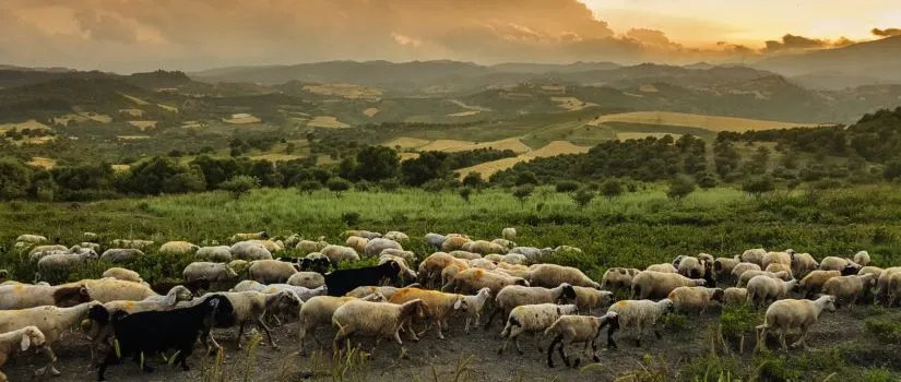 God Gave Me A Pastor After His Own Heart