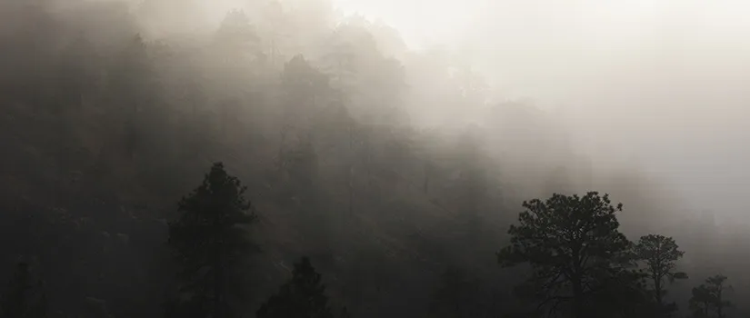 If the light of this morning had ceased to shine