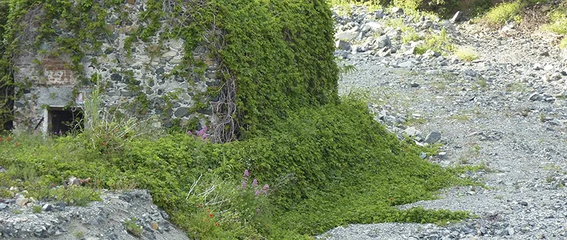 If the River Leaves You, You Die