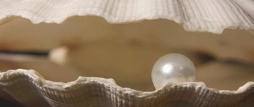 Irritated, Broken, And Through The Fire