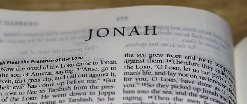 It's Hammer Time; Tearing Down Walls!