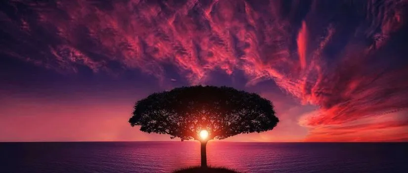 Jesus Comes In All Sizes