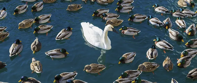 Know Where You Are Going?