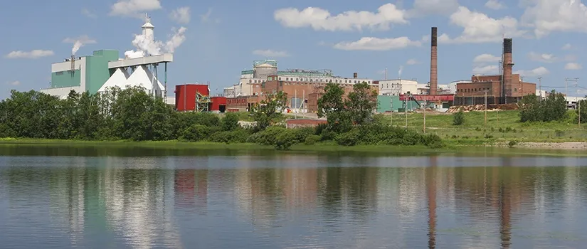 Living In Stinky Town