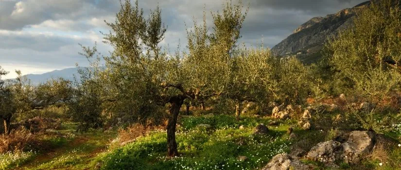 Man Became A Living Soul