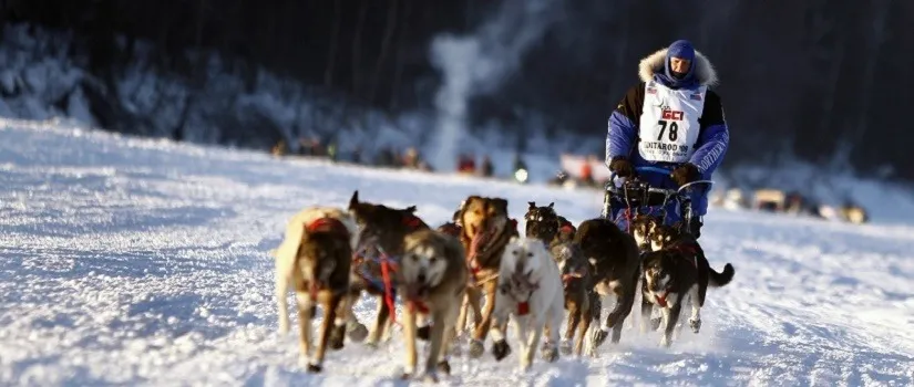 Persistence Pays Off