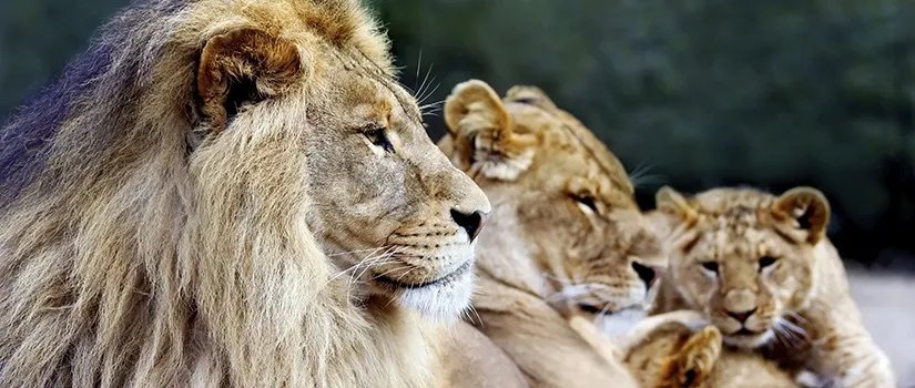 Remember Who You Are