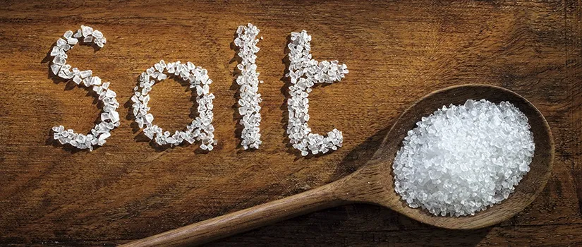 SALT the Great Influencer!