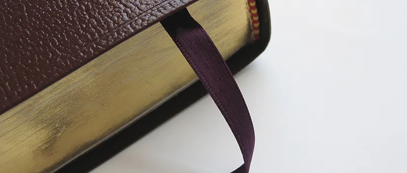 The Brown Thompson Chain Bible