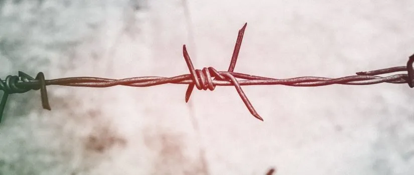 The Dangers of Admiring a Harlot