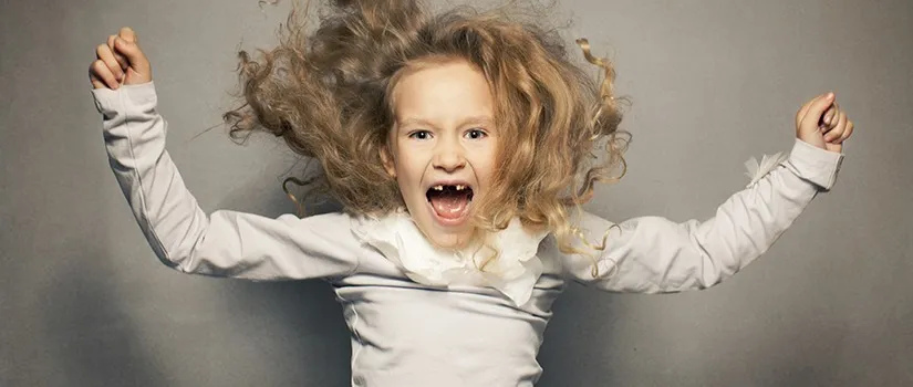 The Land Of Just Right