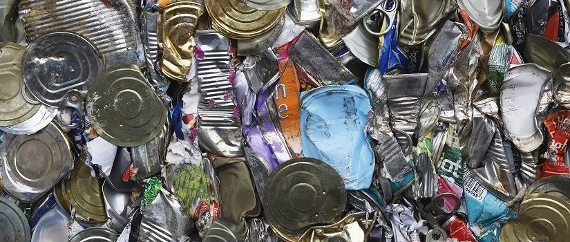 The Master of Recycling