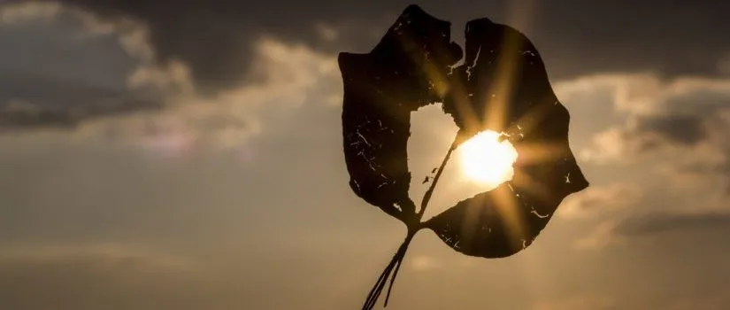 The Power of a Forgiving Heart