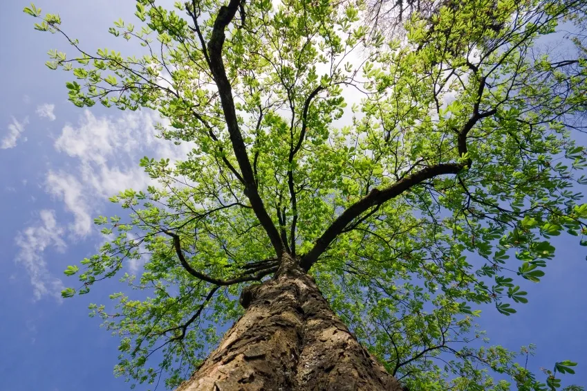 Things I Have Learned