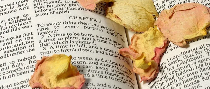 To Everything There Is….