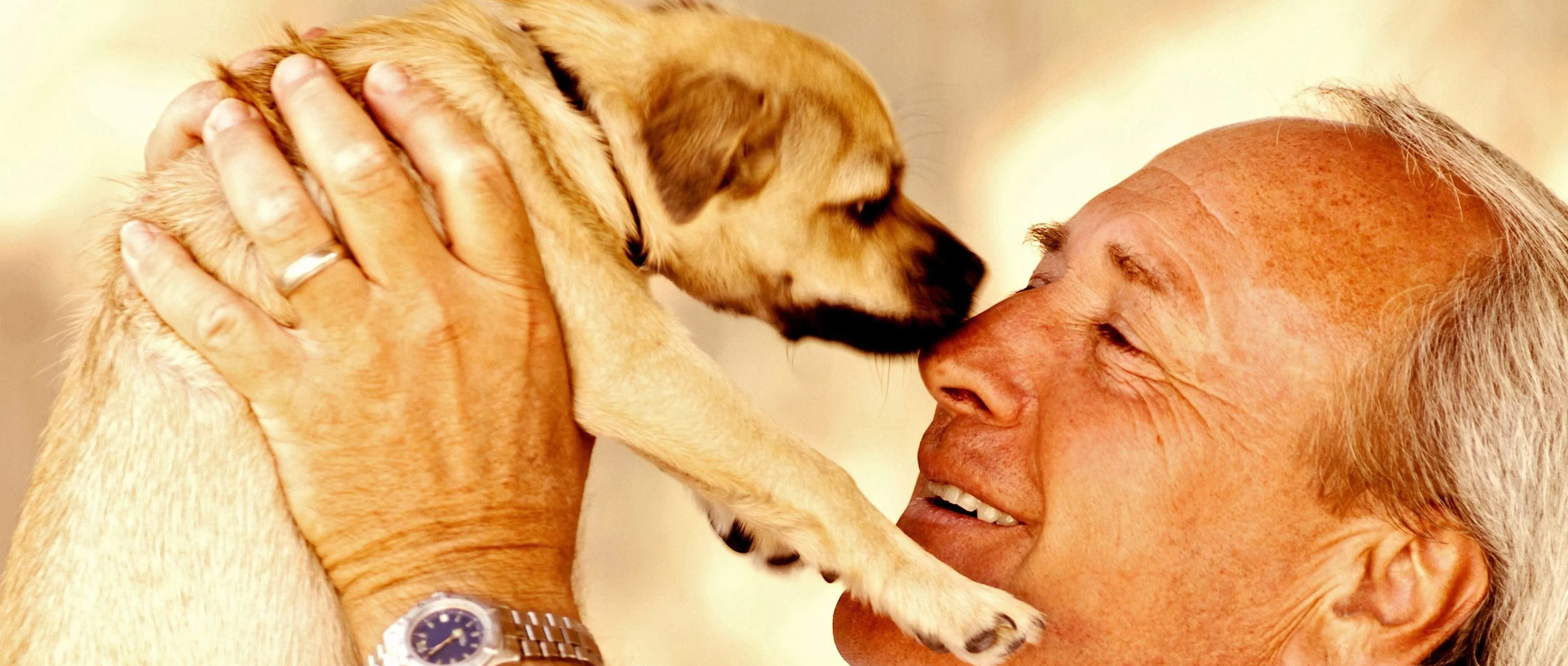 Treat Me Like a Dog!